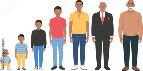 Cartoon male growth stages illustration from infant to elderly for education, biology, health, and human development themes.
