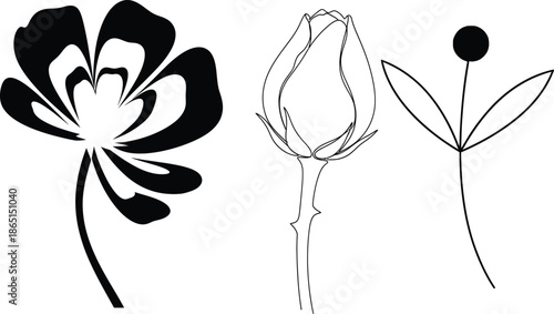 Silhouette of a flower and two seed pods in various stages