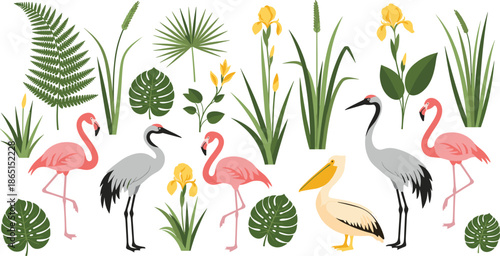 Tropical birds and plants collection, pink flamingo, gray crane, pelican, yellow iris flowers, green monstera leaves, fern, flat vector illustration, isolated nature clipart.