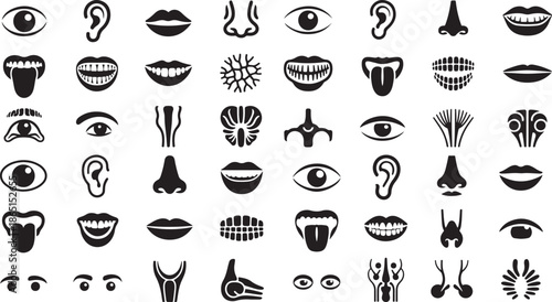 collection of various human face and body part icons  eyes noses mouths ears tongues and other facial features