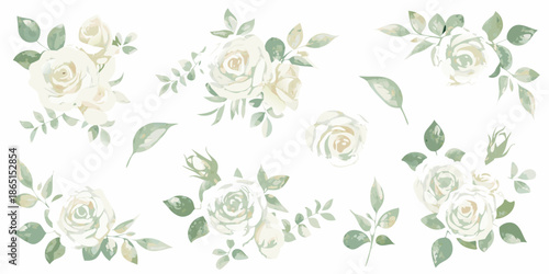 Watercolor painting of delicate white and green roses with lush foliage