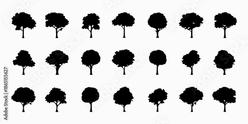 Black silhouettes of various tree shapes arranged in neat rows