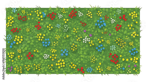 Overhead view of a rectangular field of verdant grass interspersed with clusters of colorful wildflowers in shades of red, yellow, blue, and white