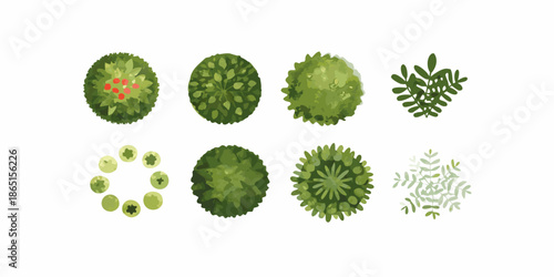 An aerial view of various green trees and floral arrangements displayed