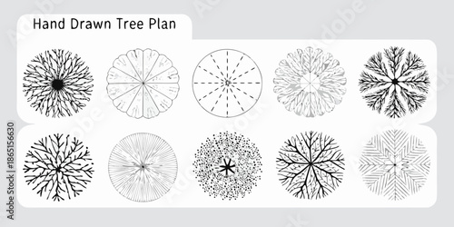 A collection of hand drawn tree crown plans with varying densities and patterns