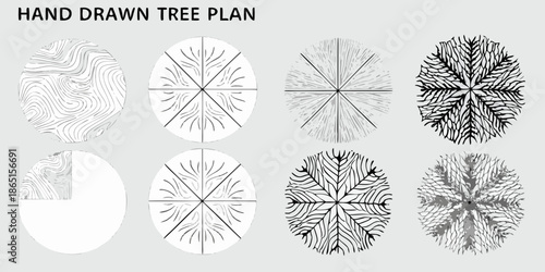 Hand drawn tree plan showing different stages of growth and foliage details