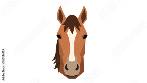 Horse head vector illustration, farm animal portrait