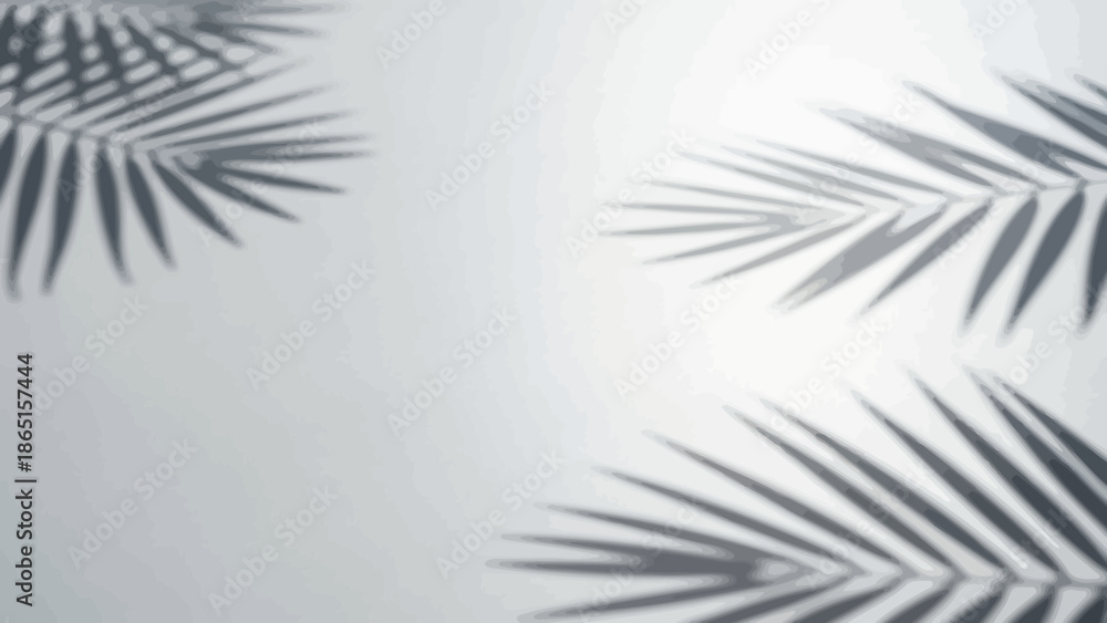 Fototapeta premium Palm leaves shadows on white wall background
