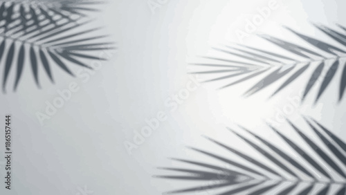 Palm leaves shadows on white wall background
