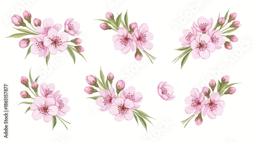Watercolor Cherry Blossom Set
