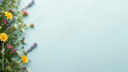 Vibrant Wildflowers Border on Soft Blue Background - Fresh Floral Arrangement with Colorful Blooms and Greenery