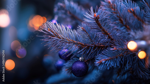 Christmas tree with blue and purple ornaments. The tree is lit up with lights