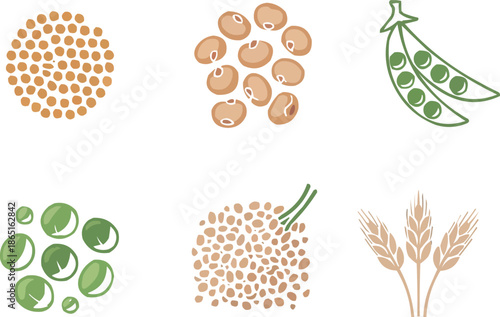 Vegan Protein Source Icons Nuts, Seeds, and Natural Superfoods Line Art