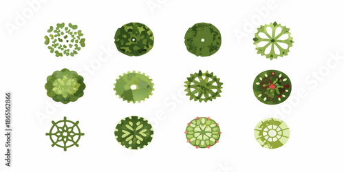 A collection of diverse top down views of stylized green trees and foliage