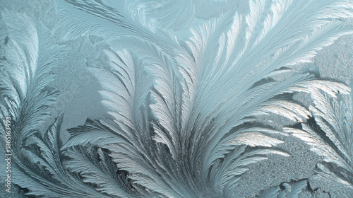 Frosty window with a leafy design