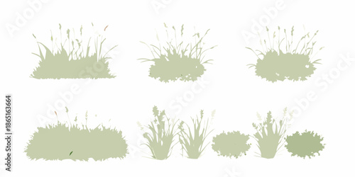 Various arrangements of green grasses and weeds isolated on a white background