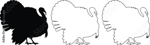 Vector illustration of a black turkey silhouette and two outline versions, isolated on a transparent background, suitable for Thanksgiving designs or autumn branding.
