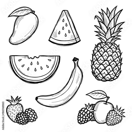 Abstract hand drawn tropical fruit doodle vector collection for packaging and label design