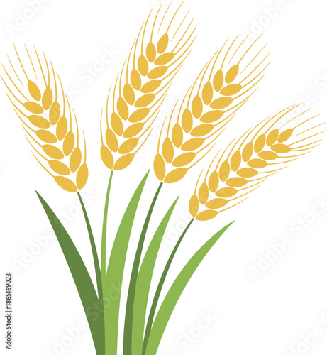 Golden wheat stalks illustration, cereal crop, agriculture symbol, farming icon, grain harvest, botanical design, food production, rural, organic, natural