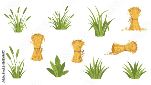 Diverse collection of green grass tufts, individual stalks, and neatly tied hay bundles, depicting rural farm life and nature elements.