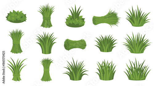 Extensive collection of lush green grass tufts, natural bushes, and neatly tied bundles of fresh foliage, perfect for nature scenes.