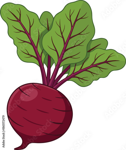 A red beetroot with green leafy stems and leaves growing from the vegetable