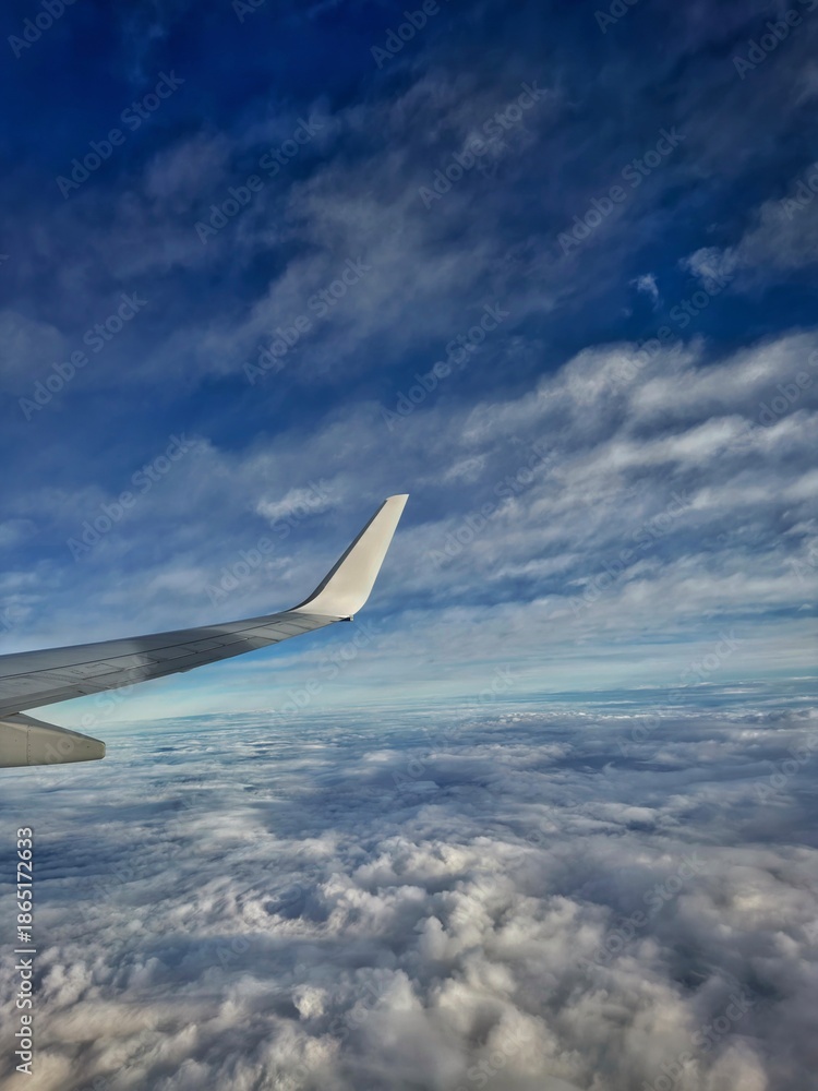 Fototapeta premium Flight over the Alps. Summer.