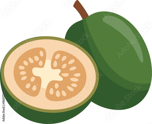 Green tropical fruit, sapote illustration, sliced interior, seed pattern, exotic produce, healthy food, botanical drawing, nutrition concept, edible design, organic