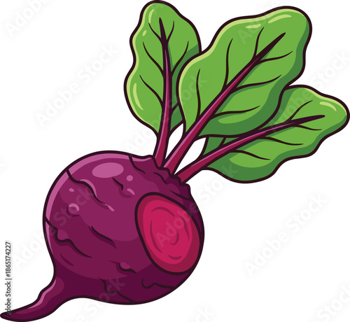 A vibrant purple beet with green leaves and a red center on a white background vegetable
