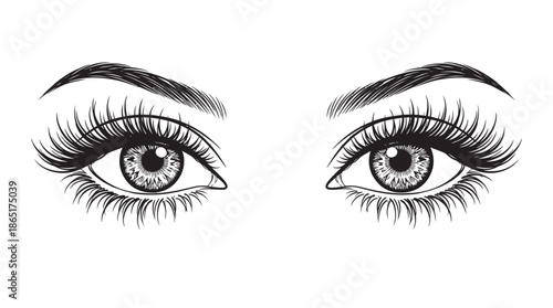 Beautiful female eyes with long, lush eyelashes and perfectly shaped eyebrows