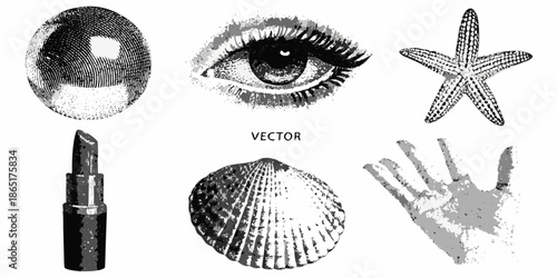 A collection of engraved illustrations eye starfish shell lipstick and hand
