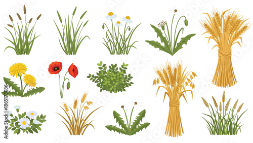 Diverse collection of field plants, showcasing golden wheat stalks, vibrant poppies, cheerful dandelions, and delicate daisies.