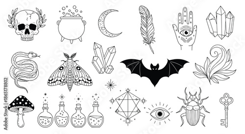 Mystical and magical witchcraft elements set with skull, potion, crystals, and a black bat for esoteric line art design.