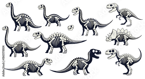 Collection of cartoon dinosaur skeletons in black and white, including T-Rex, Stegosaurus, and Triceratops fossils.