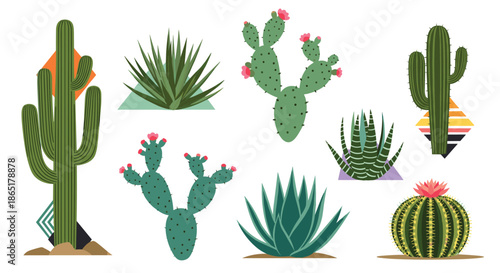 A modern collection of various cacti and succulent plants, including saguaro and prickly pear, with abstract geometric elements.