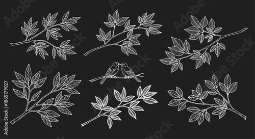 A beautiful set of hand-drawn tree branches and a pair of love birds, created in a white chalk sketch style on a blackboard.
