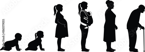Human life stages silhouette from baby to elderly adult illustrating growth aging cycle family generation concept timeline development vector illustration