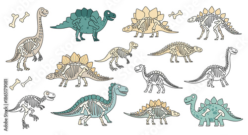 Collection of cartoon dinosaur illustrations and their corresponding fossil skeletons for educational and paleontological themes.