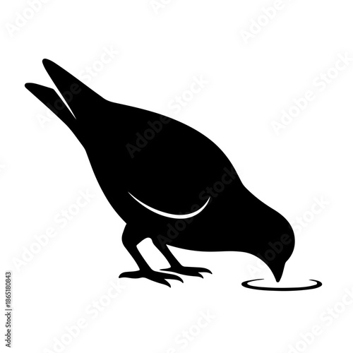 Silhouette Pigeon Drinking Water Isolated on White Background, Bird Silhouette Silhouette with Water Droplet