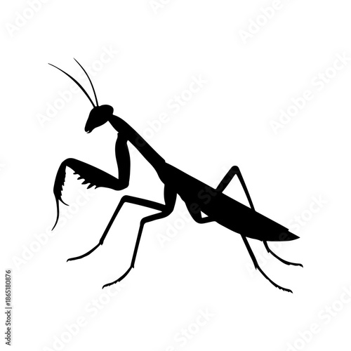 Praying Mantis Silhouette Icon, Black Insect Predator Icon, Isolated on White Background