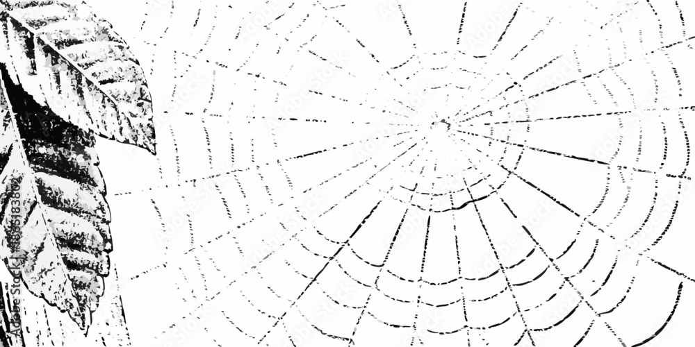 Obraz premium Detailed illustration of a spiderweb with a partial view of a striped insect