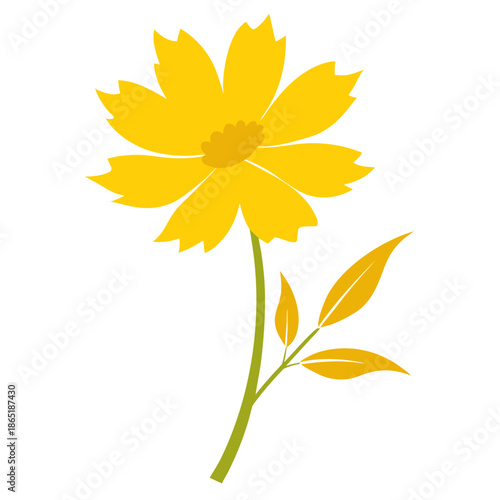 cotoneaster suecicus coral beauty silhouette on white