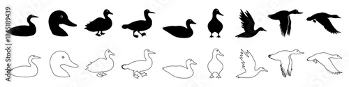 Loon icon vector set. Duck Illustration sign collection. bird symbol. fowl logo.