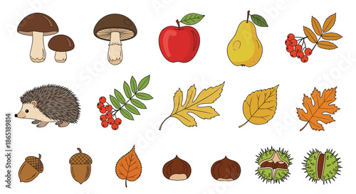 Diverse collection of autumn harvest items including mushrooms, red apples, pears, berries, colorful leaves, acorns, and prickly chestnuts.