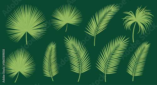 Various shapes and sizes of light green palm leaves scattered across a deep dark green background in a tropical botanical style.
