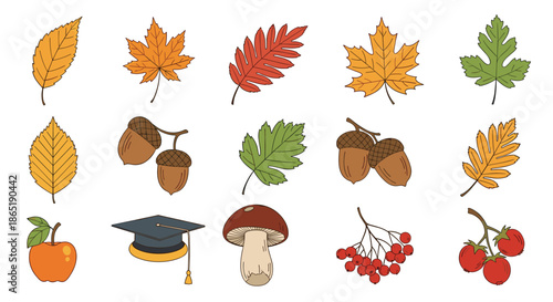 Diverse collection of autumn elements features colorful fall leaves acorns an apple a graduation cap a mushroom and clusters of red berries.