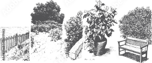 Garden scene featuring a plant, bench, and fence in a botanical vector illustration. Detailed black and white set captures outdoor tranquility.