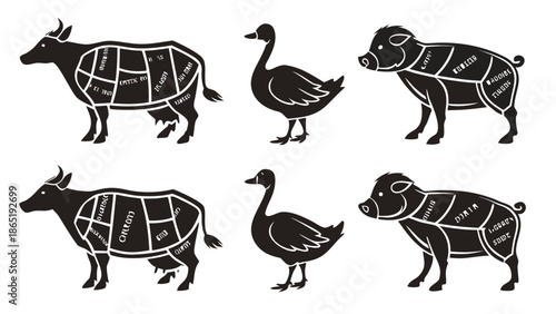 Detailed illustrations of farm animals with butcher s cuts labeled a unique visual representation silhouette