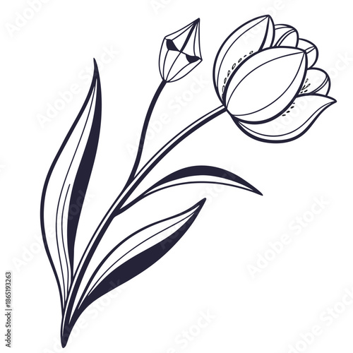 A delicate illustration of three blooming tulips with gracefully curving stems and leaves a beautiful silhouette