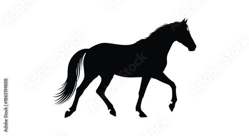 A striking black horse in motion captured as a bold and dramatic artistic silhouette